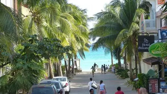 Aylove Apartment Playa del Carmen